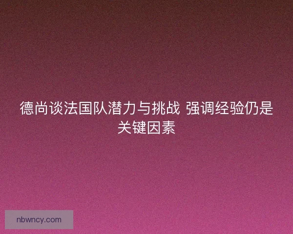 德尚谈法国队潜力与挑战 强调经验仍是关键因素